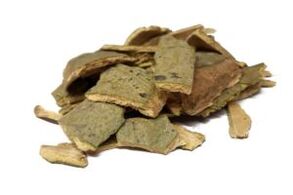 lubje trepetlike za prostatitis